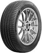Delinte DS2 235/35 ZR19 91W XL