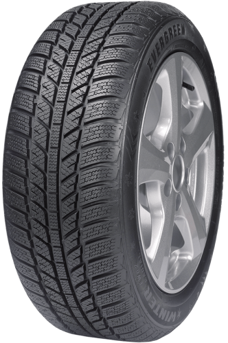 Шины Evergreen EW62 205/65 R15 94H нешип - 1