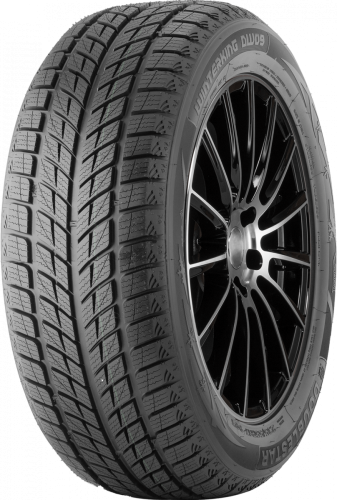 Шины DoubleStar Winterking DW09 215/45 R17 91H нешип - 1