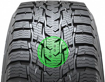 Шины Nokian Tyres WR C3 - 5